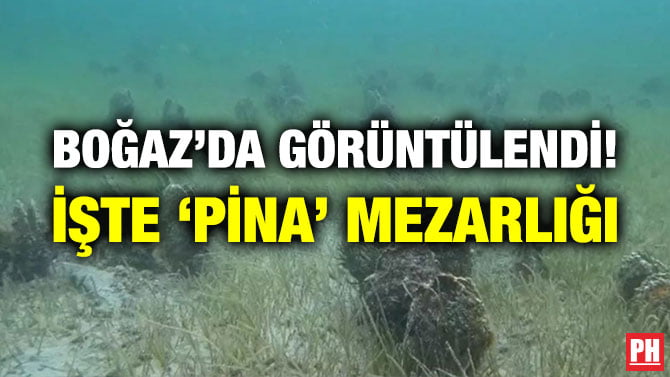 BOĞAZ’DA GÖRÜNTÜLENDİ! İŞTE ‘PİNA’ MEZARLIĞI