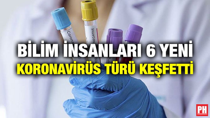 BİLİM İNSANLARI 6 YENİ KORONAVİRÜS TÜRÜ KEŞFETTİ