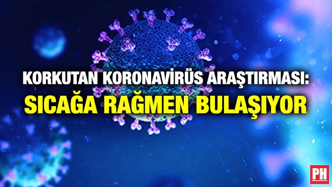 KORKUTAN KORONAVİRÜS ARAŞTIRMASI: SICAĞA RAĞMEN BULAŞIYOR