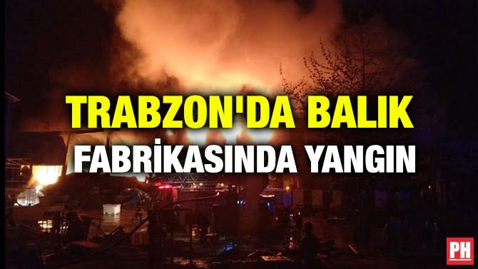 TRABZON’DA BALIK FABRİKASINDA YANGIN
