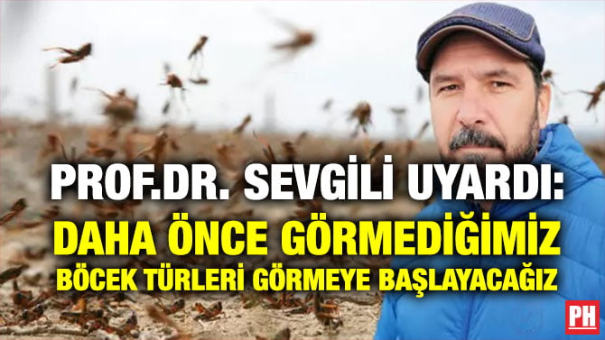 PROF.DR. SEVGİLİ UYARDI: DAHA ÖNCE GÖRMEDİĞİMİZ BÖCEK TÜRLERİ GÖRMEYE BAŞLAYACAĞIZ