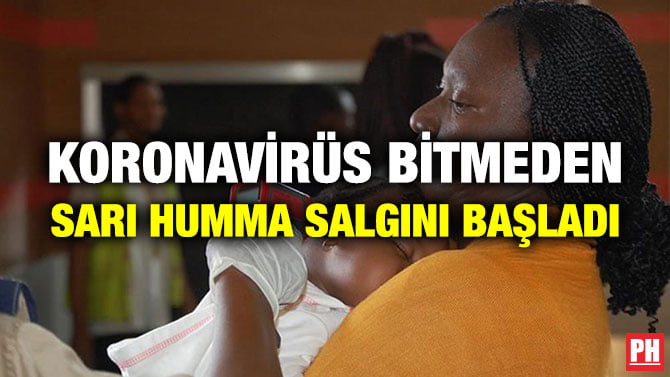 KORONAVİRÜS BİTMEDEN SARI HUMMA SALGINI BAŞLADI