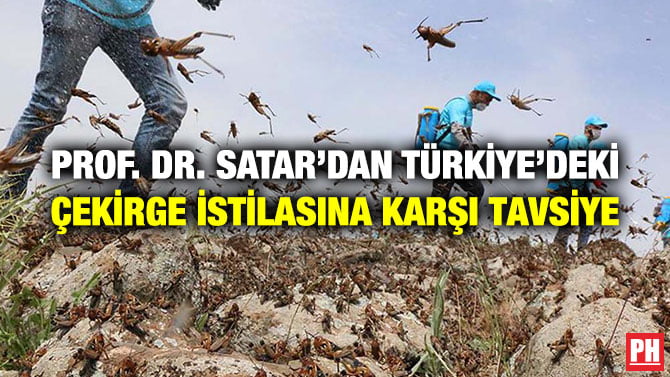 PROF. DR. SATAR’DAN TÜRKİYE’DEKİ ÇEKİRGE İSTİLASINA KARŞI TAVSİYE