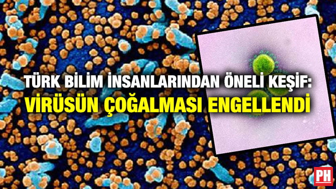TÜRK BİLİM İNSANLARINDAN ÖNELİ KEŞİF: VİRÜSÜN ÇOĞALMASI ENGELLENDİ