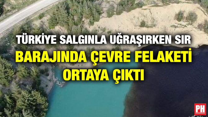 TÜRKİYE SALGINLA UĞRAŞIRKEN SIR BARAJINDA  ÇEVRE FELAKETİ ORTAYA ÇIKTI