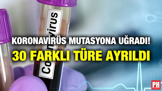 KORONAVİRÜS MUTASYONA UĞRADI! 30 FARKLI TÜRE AYRILDI