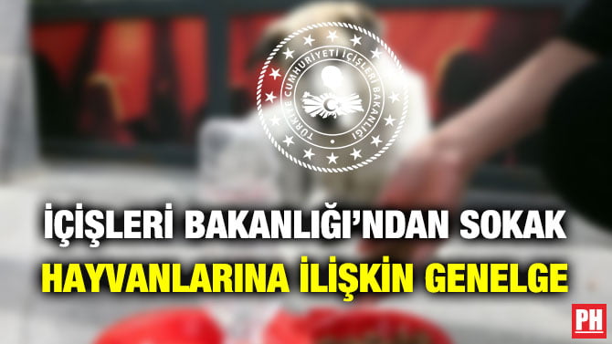 İÇİŞLERİ BAKANLIĞI’NDAN SOKAK HAYVANLARINA İLİŞKİN GENELGE