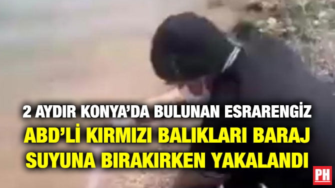 2 AYDIR KONYA’DA BULUNAN ESRARENGİZ ABD’Lİ KIRMIZI BALIKLARI BARAJ SUYUNA BIRAKIRKEN YAKALANDI
