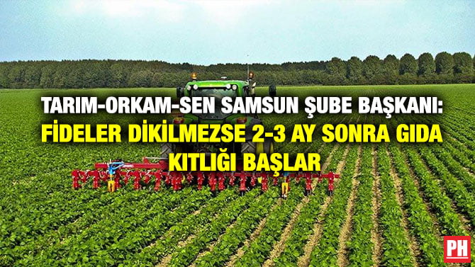 TARIM-ORKAM-SEN SAMSUN ŞUBE BAŞKANI: FİDELER DİKİLMEZSE 2-3 AY SONRA GIDA KITLIĞI BAŞLAR