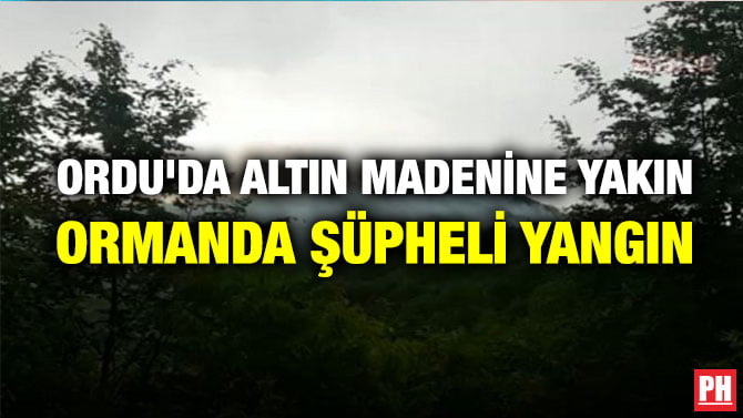 ORDU’DA ALTIN MADENİNE YAKIN ORMANDA ŞÜPHELİ YANGIN