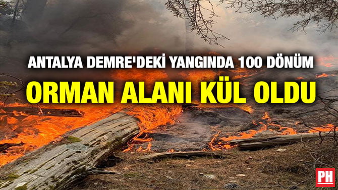 ANTALYA DEMRE’DEKİ YANGINDA 100 DÖNÜM ORMAN ALANI KÜL OLDU