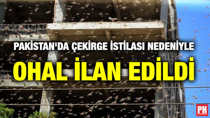 PAKİSTAN’DA ÇEKİRGE İSTİLASI NEDENİYLE OHAL İLAN EDİLDİ