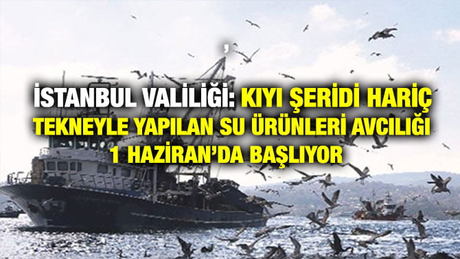 İSTANBUL VALİLİĞİ: KIYI ŞERİDİ HARİÇ TEKNEYLE YAPILAN SU ÜRÜNLERİ AVCILIĞI 1 HAZİRAN’DA BAŞLIYOR