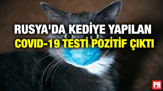 RUSYA’DA KEDİYE YAPILAN COVID-19 TESTİ POZİTİF ÇIKTI