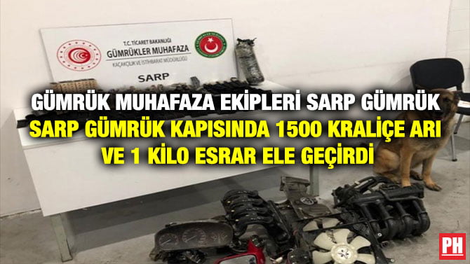 GÜMRÜK MUHAFAZA EKİPLERİ SARP GÜMRÜK KAPISINDA 1500 KRALİÇE ARI VE 1 KİLO ESRAR ELE GEÇİRDİ