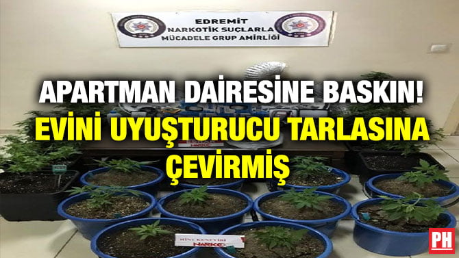 APARTMAN DAİRESİNE BASKIN! EVİNİ UYUŞTURUCU TARLASINA ÇEVİRMİŞ