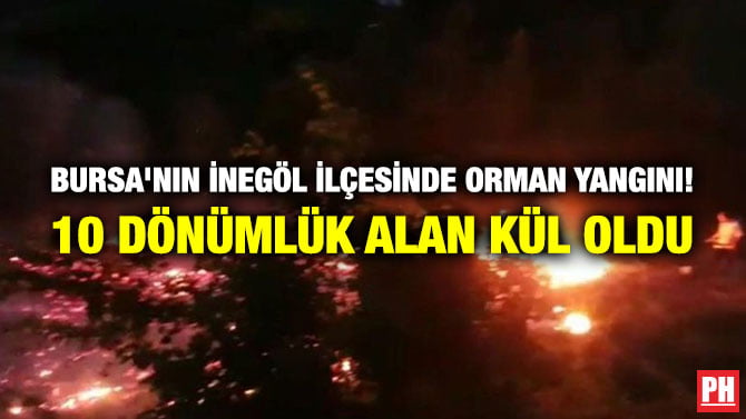 BURSA’NIN İNEGÖL İLÇESİNDE ORMAN YANGINI! 10 DÖNÜMLÜK ALAN KÜL OLDU