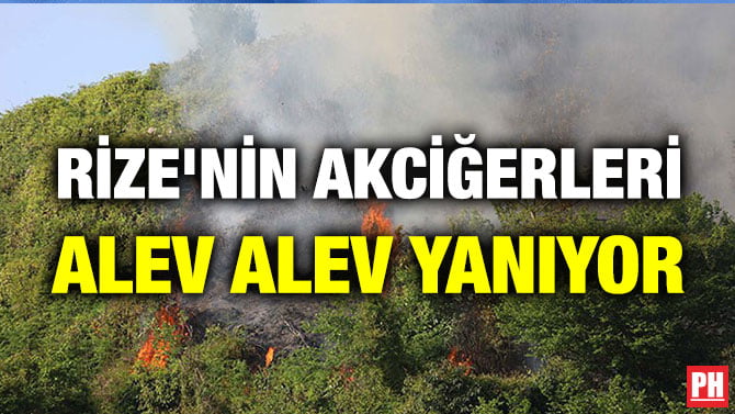 RİZE’NİN AKCİĞERLERİ ALEV ALEV YANIYOR