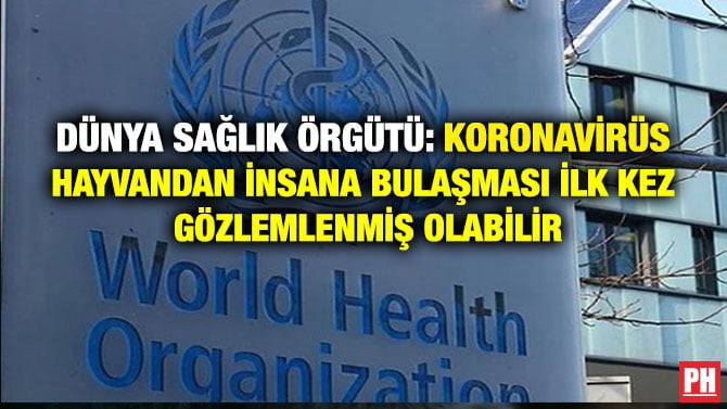 DÜNYA SAĞLIK ÖRGÜTÜ: KORONAVİRÜS HAYVANDAN İNSANA BULAŞMASI İLK KEZ GÖZLEMLENMİŞ OLABİLİR