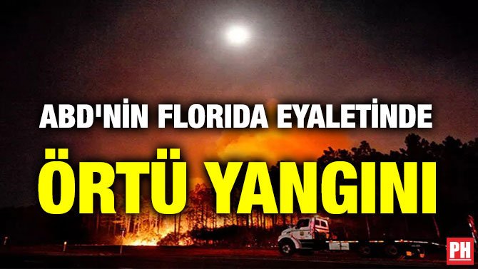ABD’NİN FLORIDA EYALETİNDE ÖRTÜ YANGINI
