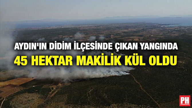AYDIN’IN DİDİM İLÇESİNDE ÇIKAN YANGINDA 45 HEKTAR MAKİLİK KÜL OLDU