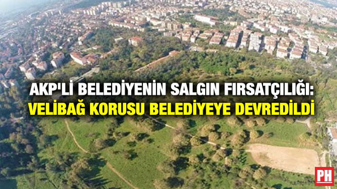 AKP’Lİ BELEDİYENİN SALGIN FIRSATÇILIĞI: VELİBAĞ KORUSU BELEDİYEYE DEVREDİLDİ