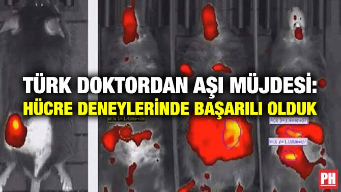 TÜRK DOKTORDAN AŞI MÜJDESİ: HÜCRE DENEYLERİNDE BAŞARILI OLDUK