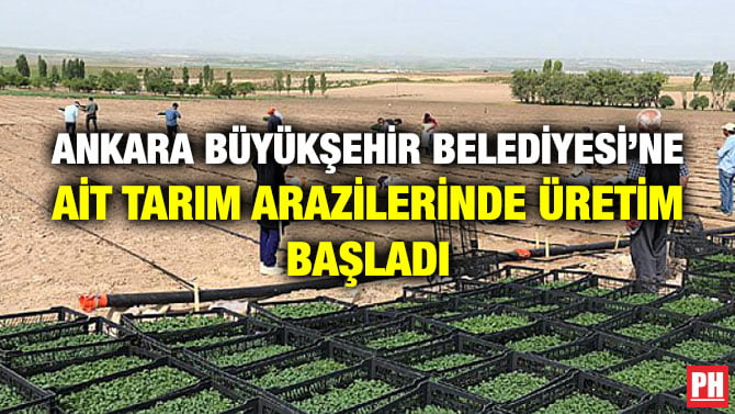 ANKARA BÜYÜKŞEHİR BELEDİYESİ’NE AİT TARIM ARAZİLERİNDE ÜRETİM BAŞLADI
