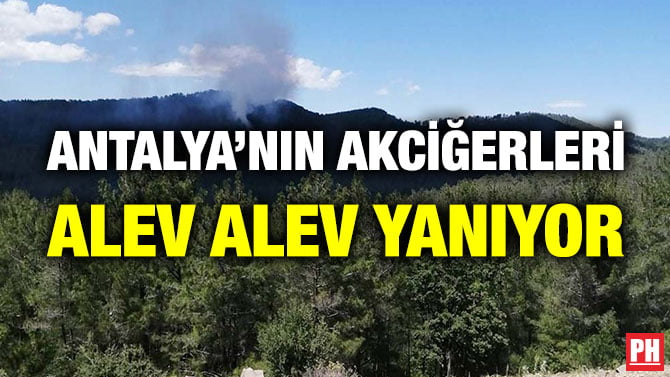 ANTALYA’NIN AKCİĞERLERİ ALEV ALEV YANIYOR