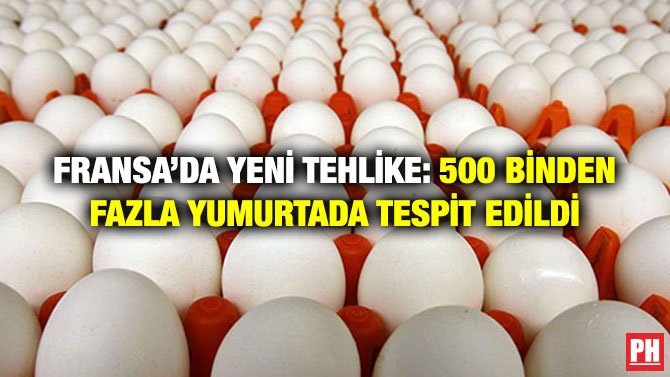 FRANSA’DA YENİ TEHLİKE: 500 BİNDEN FAZLA YUMURTADA TESPİT EDİLDİ