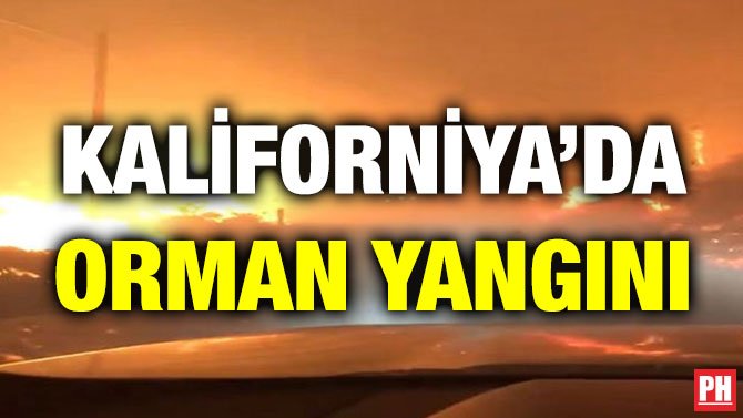 KALİFORNİYA’DA ORMAN YANGINI