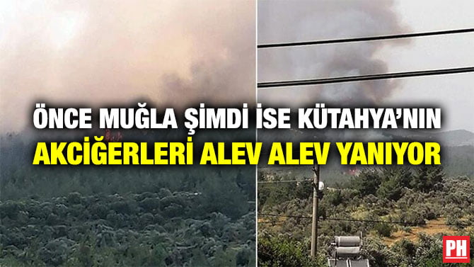 ÖNCE MUĞLA ŞİMDİ İSE KÜTAHYA’NIN AKCİĞERLERİ ALEV ALEV YANIYOR