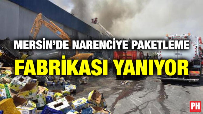 MERSİN’DE NARENCİYE PAKETLEME FABRİKASI YANIYOR
