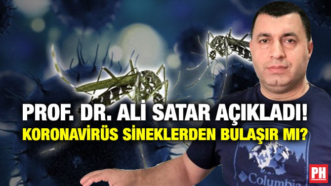 PROF. DR. ALİ SATAR AÇIKLADI! KORONAVİRÜS SİNEKLERDEN BULAŞIR MI?