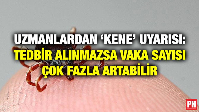 UZMANLARDAN ‘KENE’ UYARISI: TEDBİR ALINMAZSA VAKA SAYISI ÇOK FAZLA ARTABİLİR