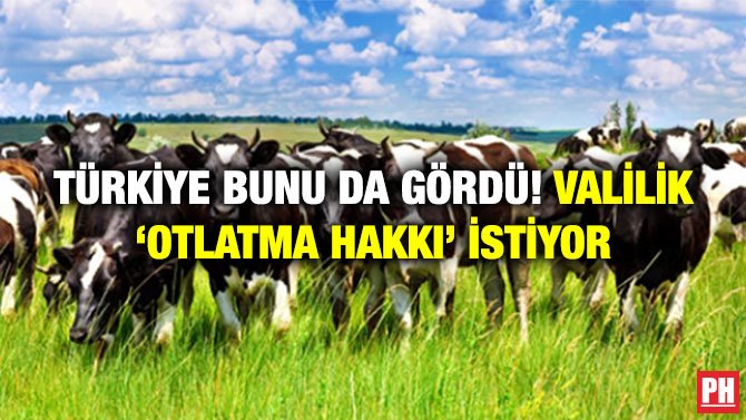TÜRKİYE BUNU DA GÖRDÜ! VALİLİK ‘OTLATMA HAKKI’ İSTİYOR