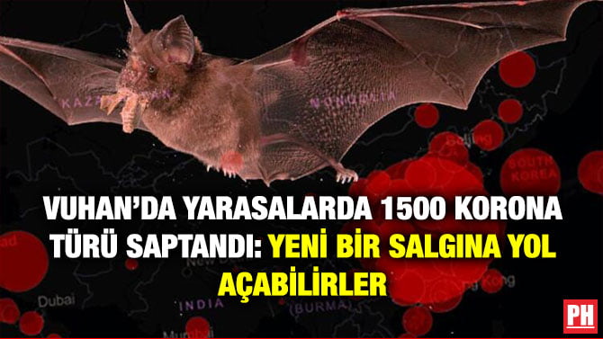 VUHAN’DA YARASALARDA 1500 KORONA TÜRÜ SAPTANDI: YENİ BİR SALGINA YOL AÇABİLİRLER