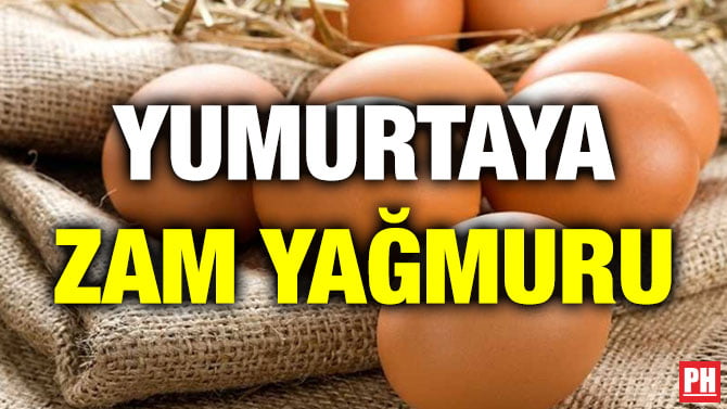YUMURTAYA ZAM YAĞMURU