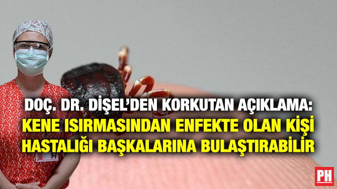 DOÇ. DR. DİŞEL’DEN KORKUTAN AÇIKLAMA: KENE ISIRMASINDAN ENFEKTE OLAN KİŞİ HASTALIĞI BAŞKALARINA BULAŞTIRABİLİR