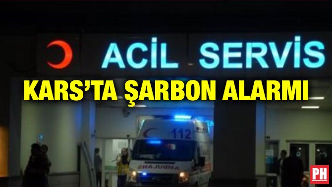 KARS’TA ŞARBON ALARMI
