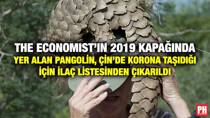 THE ECONOMIST’IN 2019 KAPAĞINDA YER ALAN PANGOLİN, ÇİN’DE KORONA TAŞIDIĞI İÇİN İLAÇ LİSTESİNDEN ÇIKARILDI