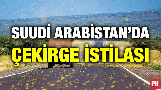 SUUDİ ARABİSTAN’DA ÇEKİRGE İSTİLASI