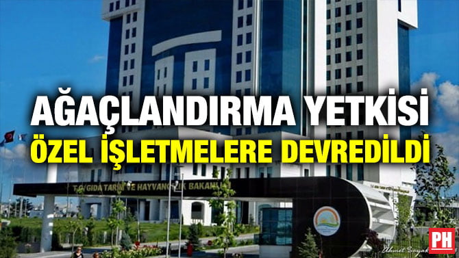 AĞAÇLANDIRMA YETKİSİ ÖZEL İŞLETMELERE DEVREDİLDİ