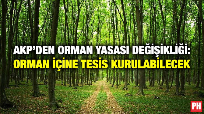 AKP’DEN ORMAN YASASI DEĞİŞİKLİĞİ: ORMAN İÇİNE TESİS KURULABİLECEK