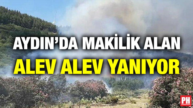AYDIN’DA MAKİLİK ALAN ALEV ALEV YANIYOR