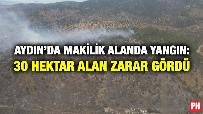 AYDIN’DA MAKİLİK ALANDA YANGIN: 30 HEKTAR ALAN ZARAR GÖRDÜ
