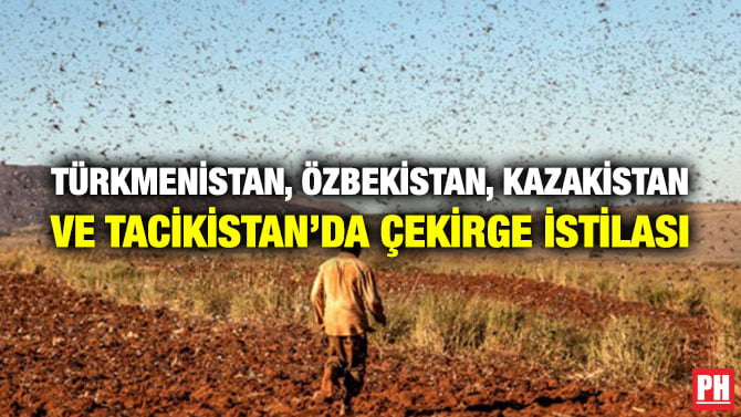TÜRKMENİSTAN, ÖZBEKİSTAN, KAZAKİSTAN VE TACİKİSTAN’DA ÇEKİRGE İSTİLASI