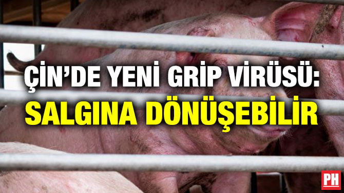 ÇİN’DE YENİ GRİP VİRÜSÜ: SALGINA DÖNÜŞEBİLİR