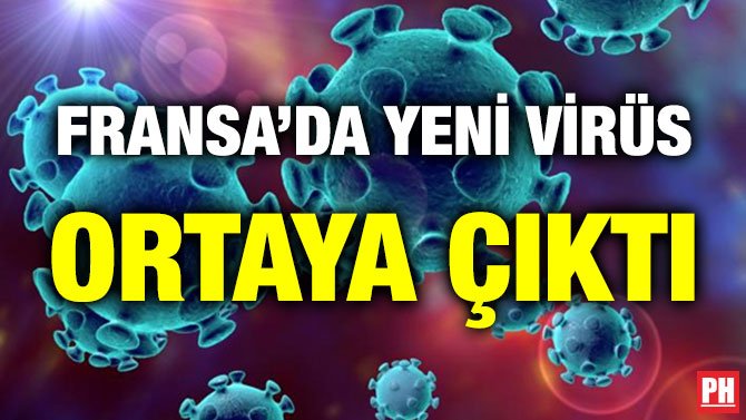 FRANSA’DA YENİ VİRÜS ORTAYA ÇIKTI