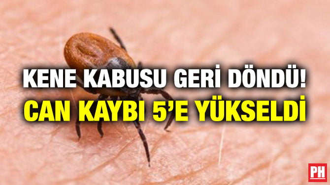 KENE KABUSU GERİ DÖNDÜ! CAN KAYBI 5’E YÜKSELDİ
